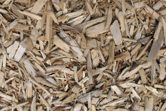 biomass boilers Blairgowrie